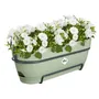 Elho Vibia Campana Allin1 Bac à fleurs de balcon 50 cm (L 50 * W 26 * H 17 cm) - Avec réservoir d'eau - 100% plastique recyclé - Vert