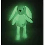 JEMINI Peluche Lapin Blanc Photoluminescente - Doudou Luminou - Fonctionne Sans Pile - Rassure Enfant - Environ 20 cm