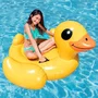 Intex Bouée gonflable géante Canard Jaune à chevaucher pour piscine avec poignées de maintien et 2 chambres à air - Jeu de bain pour enfant à partir de 3 ans