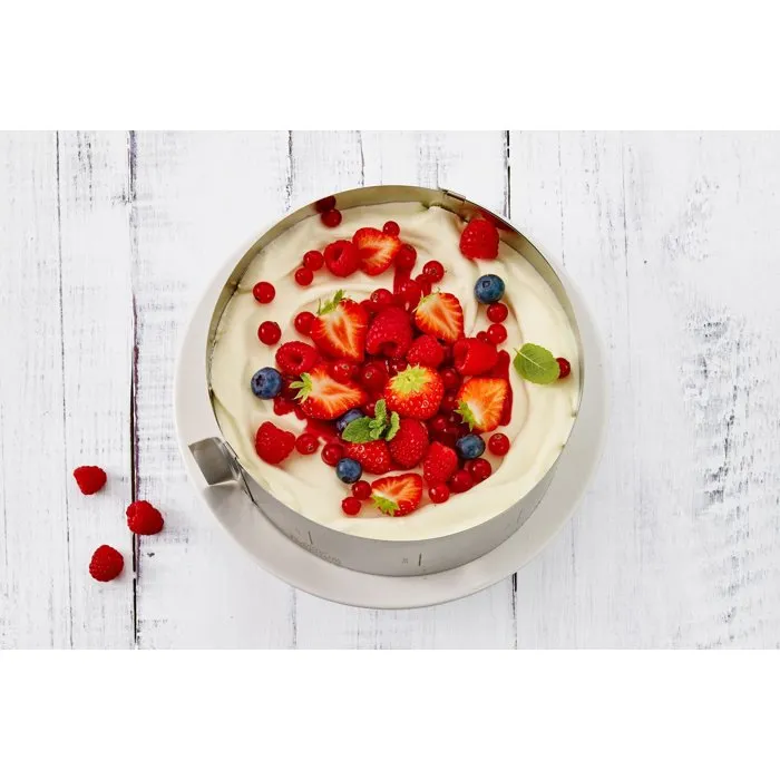 Birkmann Cercle de pâtisserie EASY BAKING réglable Ø18-30 cm, H 10 cm Birkmann Cercle de pâtisserie EASY BAKING réglable Ø18-30 cm, H 10 cm