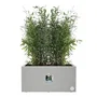 Elho Jardinière Vivo Next Long 80 Gris L 78 x l 39 x H 38 cm, 100% Recyclé, Intérieur/Extérieur