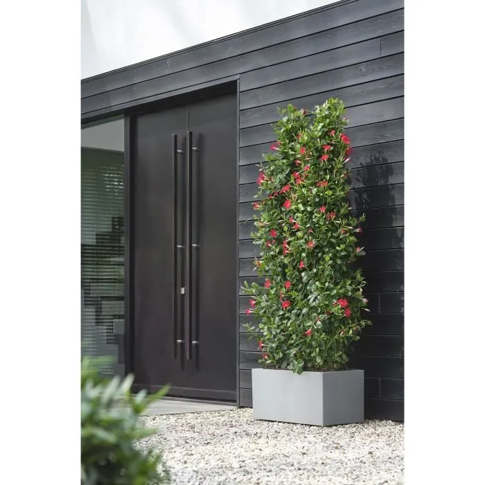 Elho Jardinière Vivo Next Long 80 Gris L 78 x l 39 x H 38 cm, 100% Recyclé, Intérieur/Extérieur