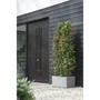 Elho Jardinière Vivo Next Long 80 Gris L 78 x l 39 x H 38 cm, 100% Recyclé, Intérieur/Extérieur