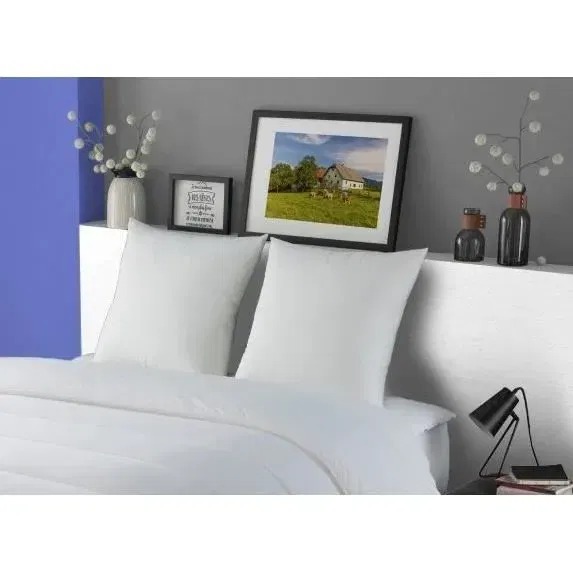DODO Oreiller MERIBEL 60x60 cm Lot de 2 - Plumettes Confort Ferme