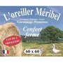 DODO Oreiller MERIBEL 60x60 cm Lot de 2 - Plumettes Confort Ferme