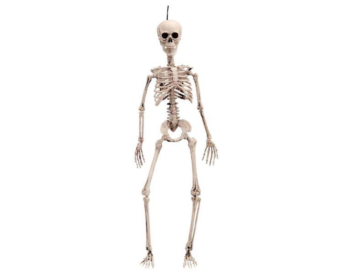 Décoration d'Halloween My Other Me 49 cm Squelette Décoration d'Halloween My Other Me 49 cm Squelette