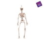 Décoration d'Halloween My Other Me 49 cm Squelette