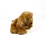 Deqube Peluche Cocker Spaniel Assis 12cm Licencia Bocalan +0 Mois