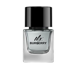 Burberry MR BURBERRY Eau de Toilette Vapo 50 ml