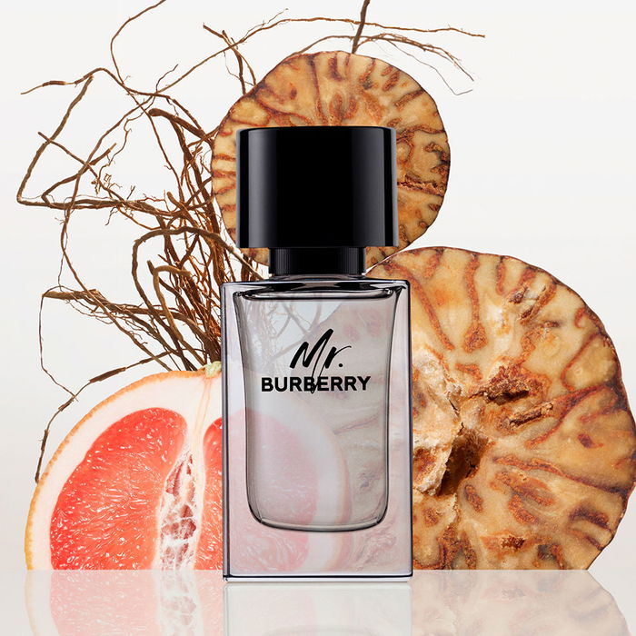 Burberry MR BURBERRY Eau de Toilette Vapo 50 ml