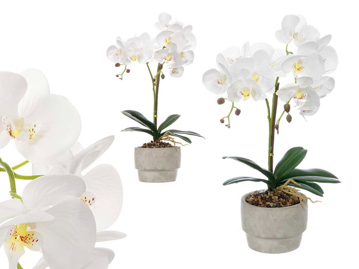 IBERGARDEN Orchidée 2 tiges en pot ciment blanc IBERGARDEN Orchidée 2 tiges en pot ciment blanc