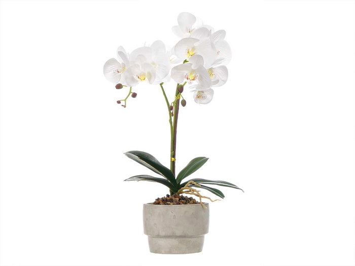 IBERGARDEN Orchidée 2 tiges en pot ciment blanc IBERGARDEN Orchidée 2 tiges en pot ciment blanc