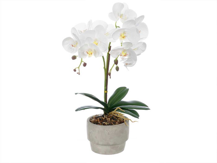 IBERGARDEN Orchidée 2 tiges en pot ciment blanc IBERGARDEN Orchidée 2 tiges en pot ciment blanc