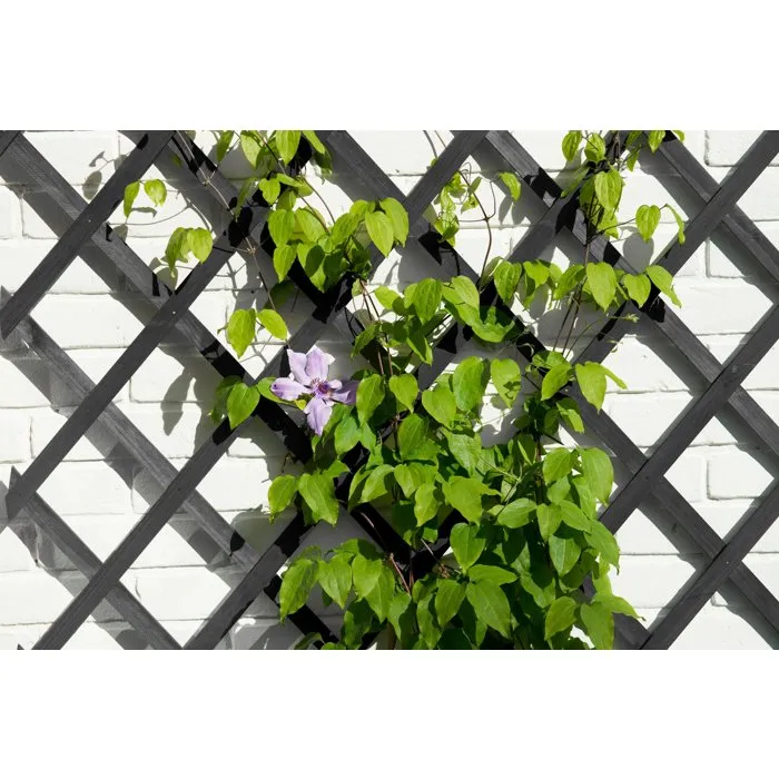Nature Treillis extensible en bois anthracite - 150 x 50 cm