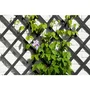 Nature Treillis extensible en bois anthracite - 150 x 50 cm