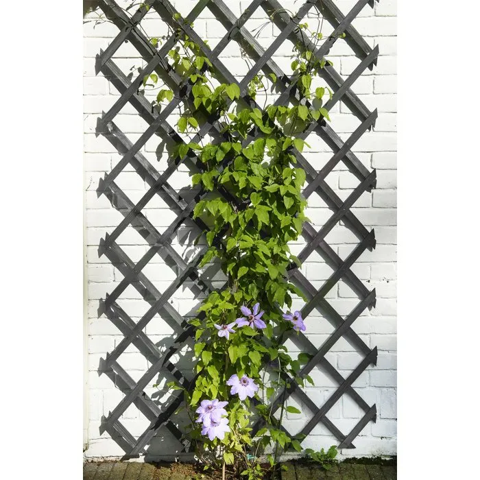 Nature Treillis extensible en bois anthracite - 150 x 50 cm
