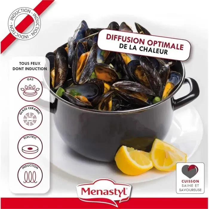 MENASTYL Marmite à moules 18 cm 2,7 litres, acier émaillé noir, tous feux induction, couvercle réversible plat, réf. 3645567