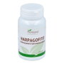 PLANTAPOL Harpagofito 100 comprimés de 500 mg