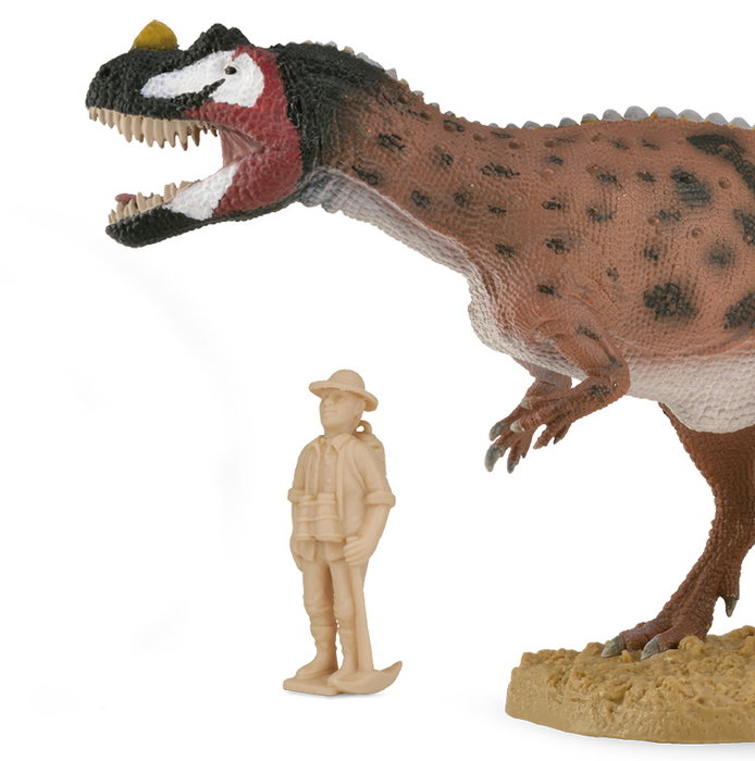 COLLECTA Ceratosaurus Deluxe avec mandibule mobile - Échelle 1:40