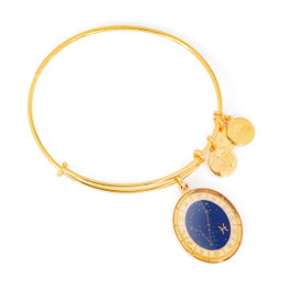 Alex And Ani Bracelet Poissons Doré