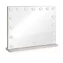 Livoo DOS207 Miroir de maquillage Hollywood avec 15 LEDs et 3 modes lumineux - 56 x 44 cm - Blanc