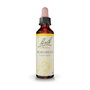 Bach Original Hornbeam/Hojarazo Nº 17, 20 ml
