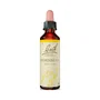 Bach Original Hornbeam/Hojarazo Nº 17, 20 ml