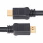 Câble USB Startech HD2AP-10M-HDMI-CABLE Noir 10 m