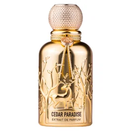 Auraa Desire Cedar Paradise Extrait de parfum pour Homme 100 ml
