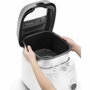 Delonghi FS6067 Friteuse Classique 2,4 L Gris, Noir et Blanc