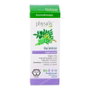 Physalis Essence d'Encens Bio 10ml