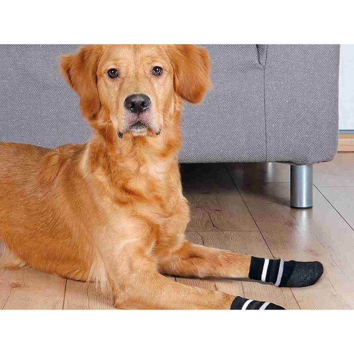 Chaussettes Trixie Noir S/M Chien