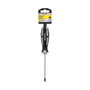 WOLFPACK LINEA PROFESIONAL Tournevis Pozidriv PZ1 Ø 5 x 100 mm