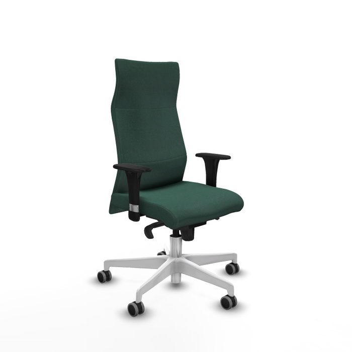 Piqueras Y Crespo Fauteuil Albacete Vert Bouteille avec Mécanisme Synchrone et Accoudoirs 1D Piqueras Y Crespo Fauteuil Albacete Vert Bouteille avec Mécanisme Synchrone et Accoudoirs 1D