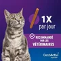 Vetocanis DentActiv 10 Bâtonnets au Saumon pour Chat