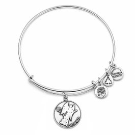 Alex And Ani Bracelet Virgo II Gris