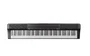 ALESIS PRESTIGE Artist