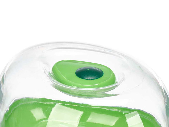 Leknes Récipient de Conservation Avocat 12,8x10,2x7 cm Plastique Vert Transparent (Set de 36)