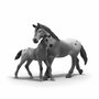 Schleich Figurine L'entraînement au tournoi de Lisa Horse Club