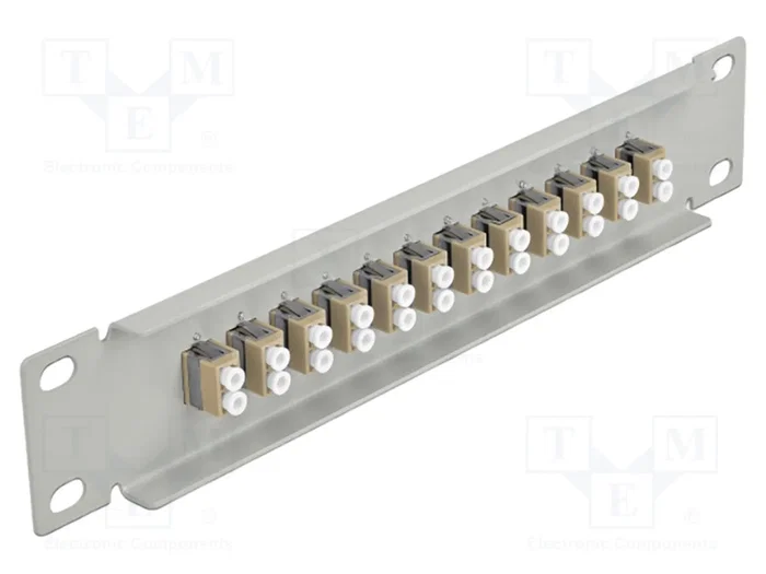 DELOCK Panneau de brassage à fibre optique LC duplex gris 10 pouces