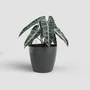 ARTEVASI San Remo SWS 42 BR - Pot de fleurs pour intérieur et extérieur en plastique - Ø42,7 x H39,5 cm - 42,3 litres - Gris anthracite