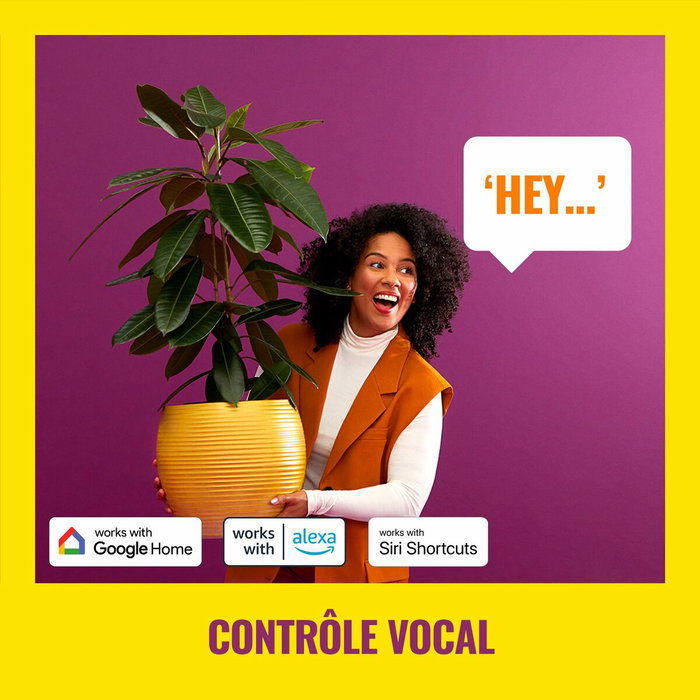 Ruban néon Wiz 3 m Blanc