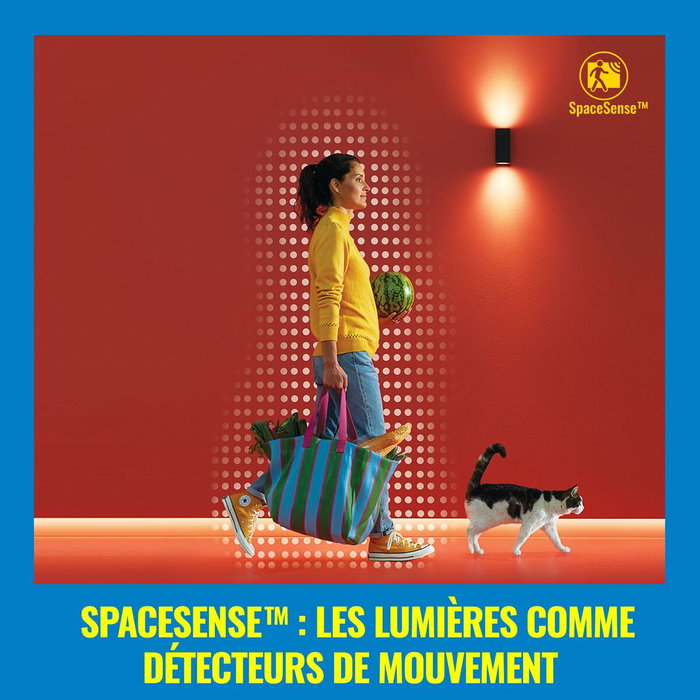 Ruban néon Wiz 3 m Blanc