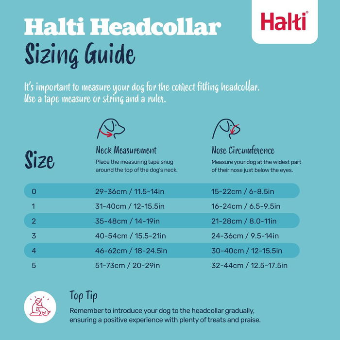 Muselière Company of Animals FOREST Vert 4