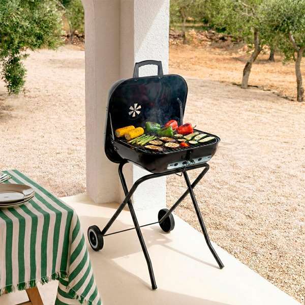Color Baby Aktive-Barbacoa Carbon Pleg