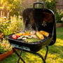 Color Baby Aktive-Barbacoa Carbon Pleg