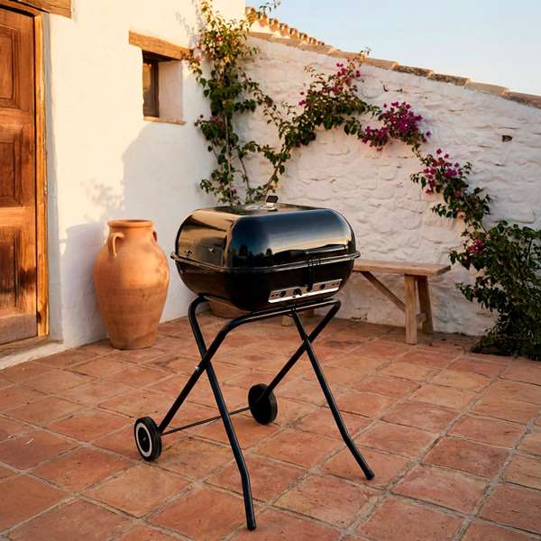 Color Baby Aktive-Barbacoa Carbon Pleg