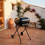 Color Baby Aktive-Barbacoa Carbon Pleg