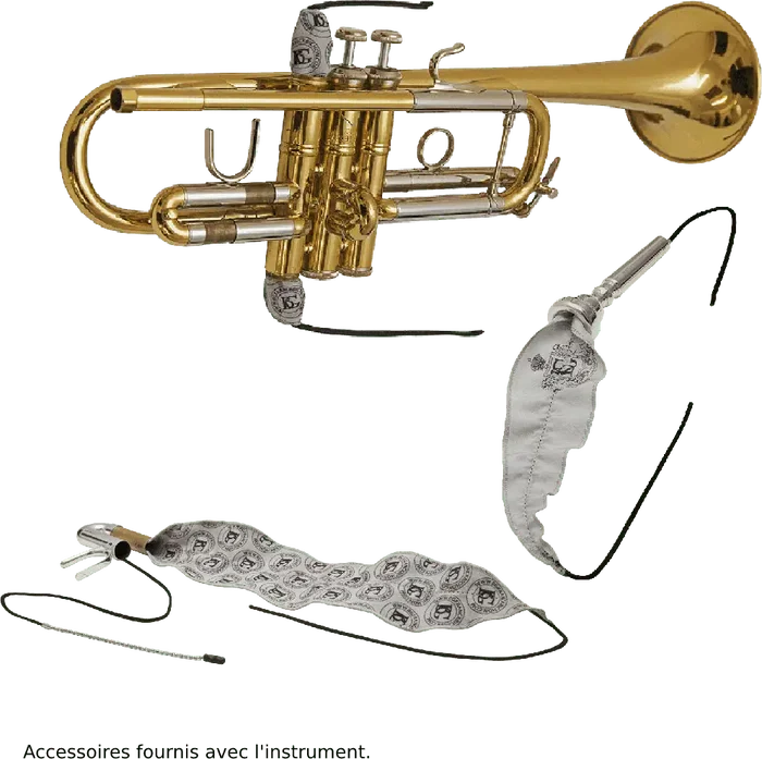 SML Cornet Sib Co50 SML