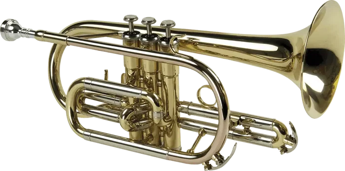 SML Cornet Sib Co50 SML